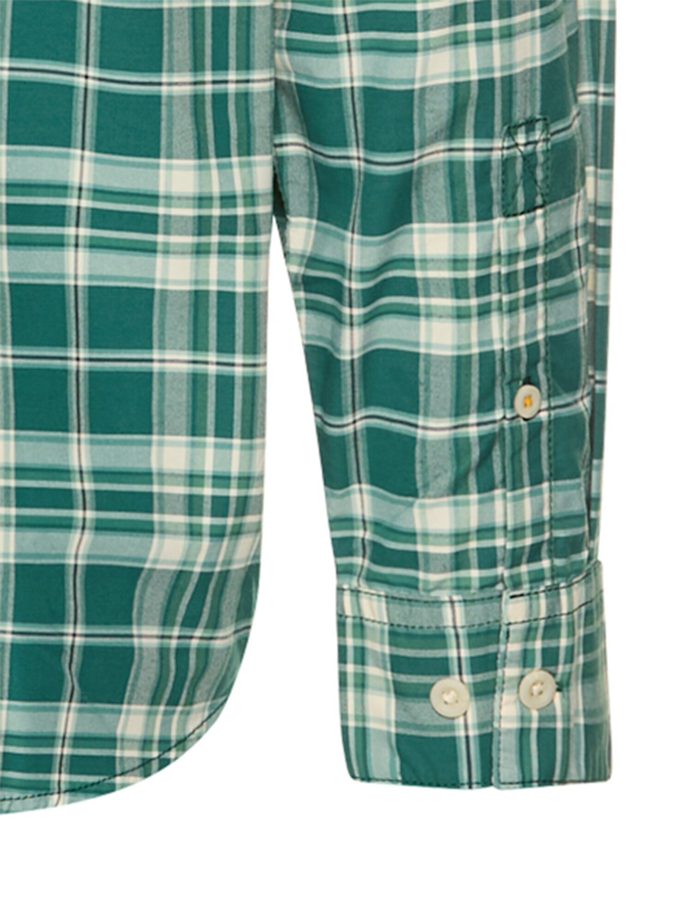 CAMEL ACTIVE Regular fit Button Up Shirt in Green