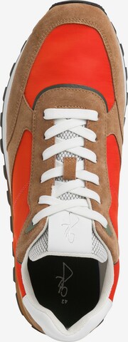 MARCO TOZZI Sneakers in Brown