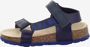 SUPERFIT Sandale in Blau
