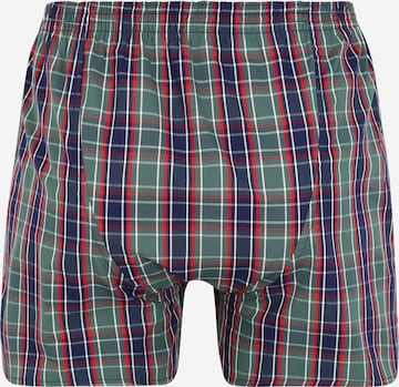 D.E.A.L International Boxer shorts in Green