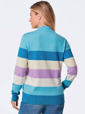 Goldner Sweater in Blue