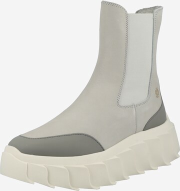 Apple of Eden Chelsea boots 'BOWIE 12' in Grey: front