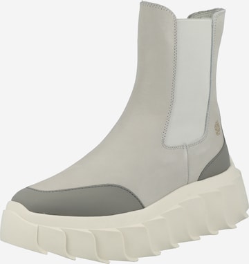 Apple of Eden Chelsea boots 'BOWIE 12' in Grey: front