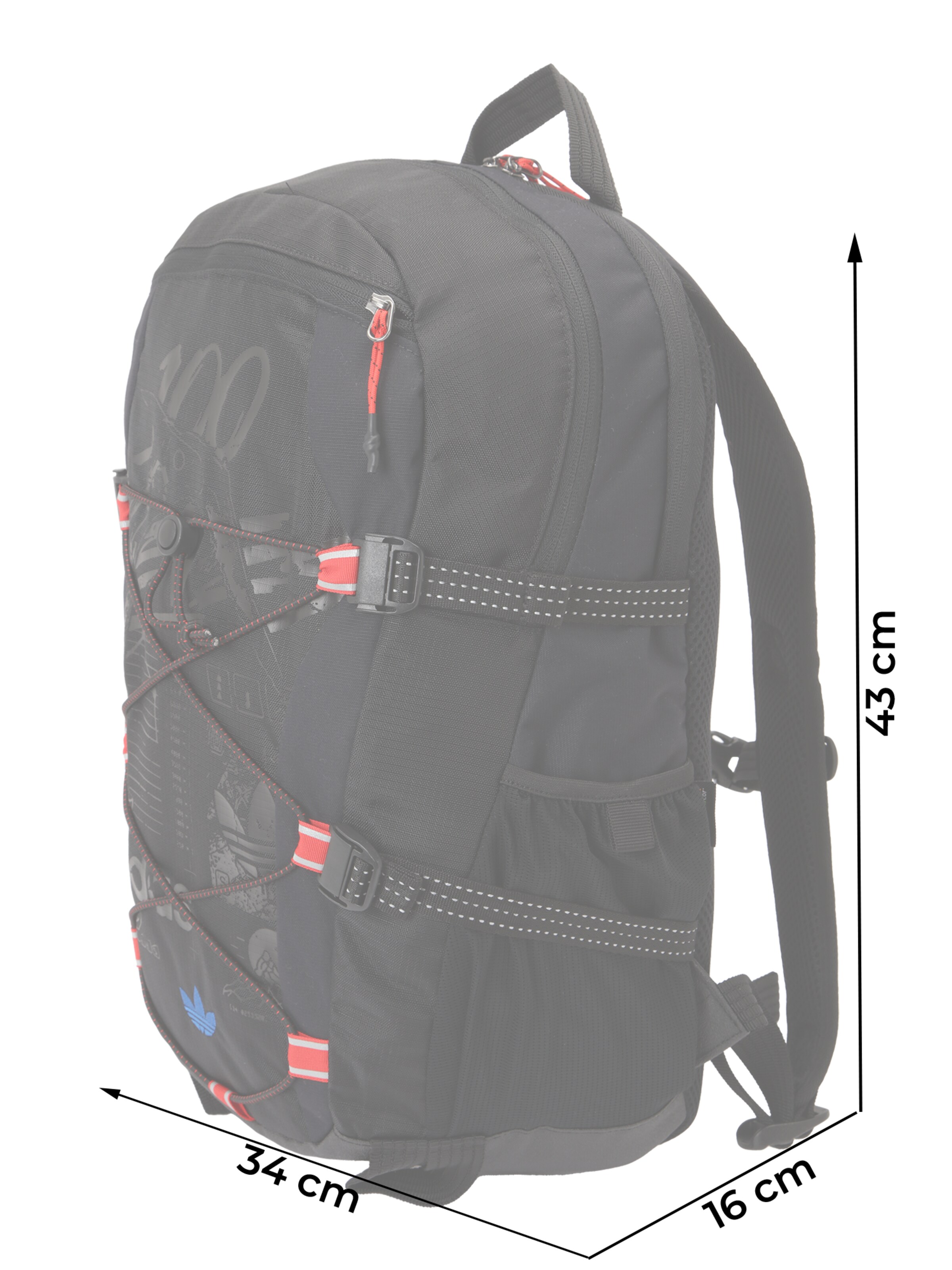 ADIDAS ORIGINALS Rucksack '100 Thieves' in Schwarz