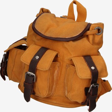 Gave Lux Backpack in Brown: front