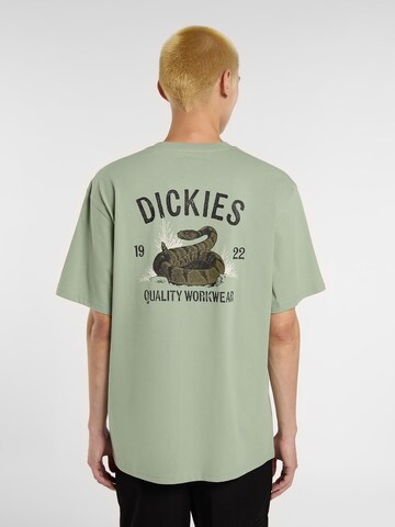 DICKIES Bluser & t-shirts 'Snake' i grøn: forside