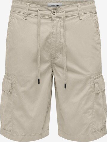 Regular Pantalon cargo 'LOC' Only & Sons en gris : devant