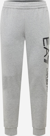 EA7 Emporio Armani Hose in Grau: predná strana