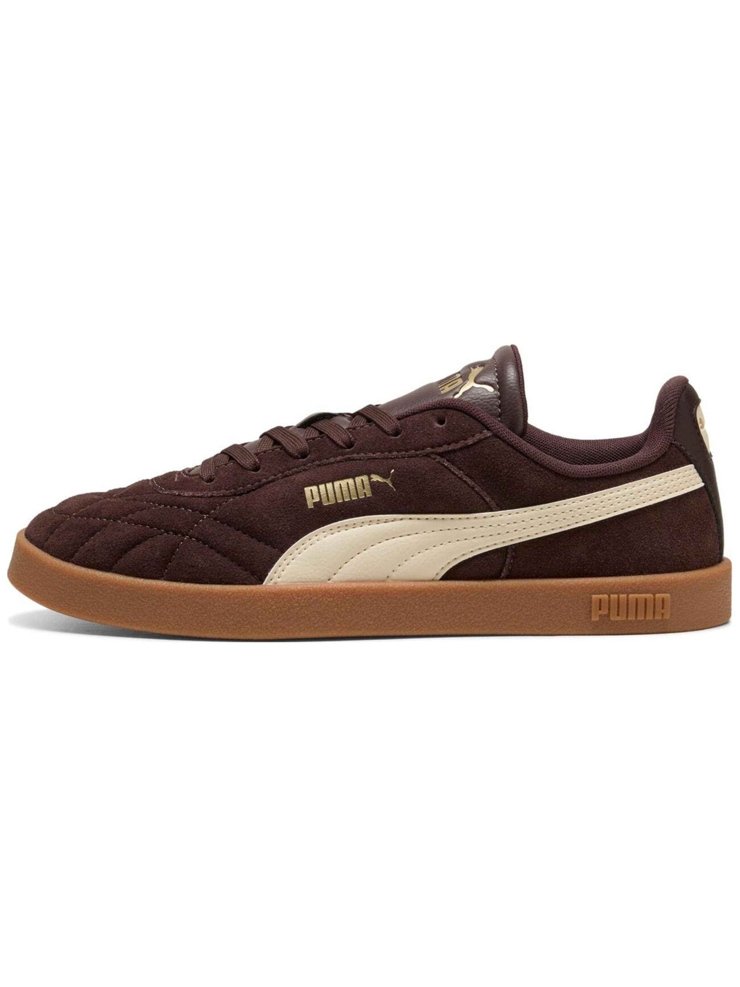 PUMA - Calzado deportivo 'Puma Club Ii Indoor Esd' en marrón: frente