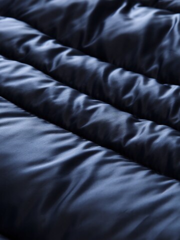 TOM TAILOR Tussenjas in Blauw