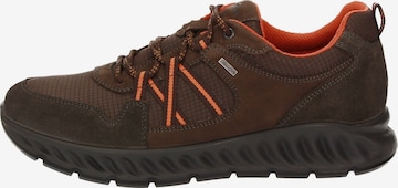 SIOUX Athletic Lace-Up Shoes ' Utisso-701-TEX ' in Brown