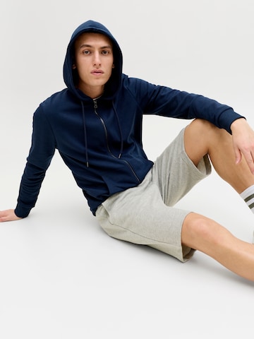JACK & JONES Regular Shorts 'JPSTGordon Archive' in Grau