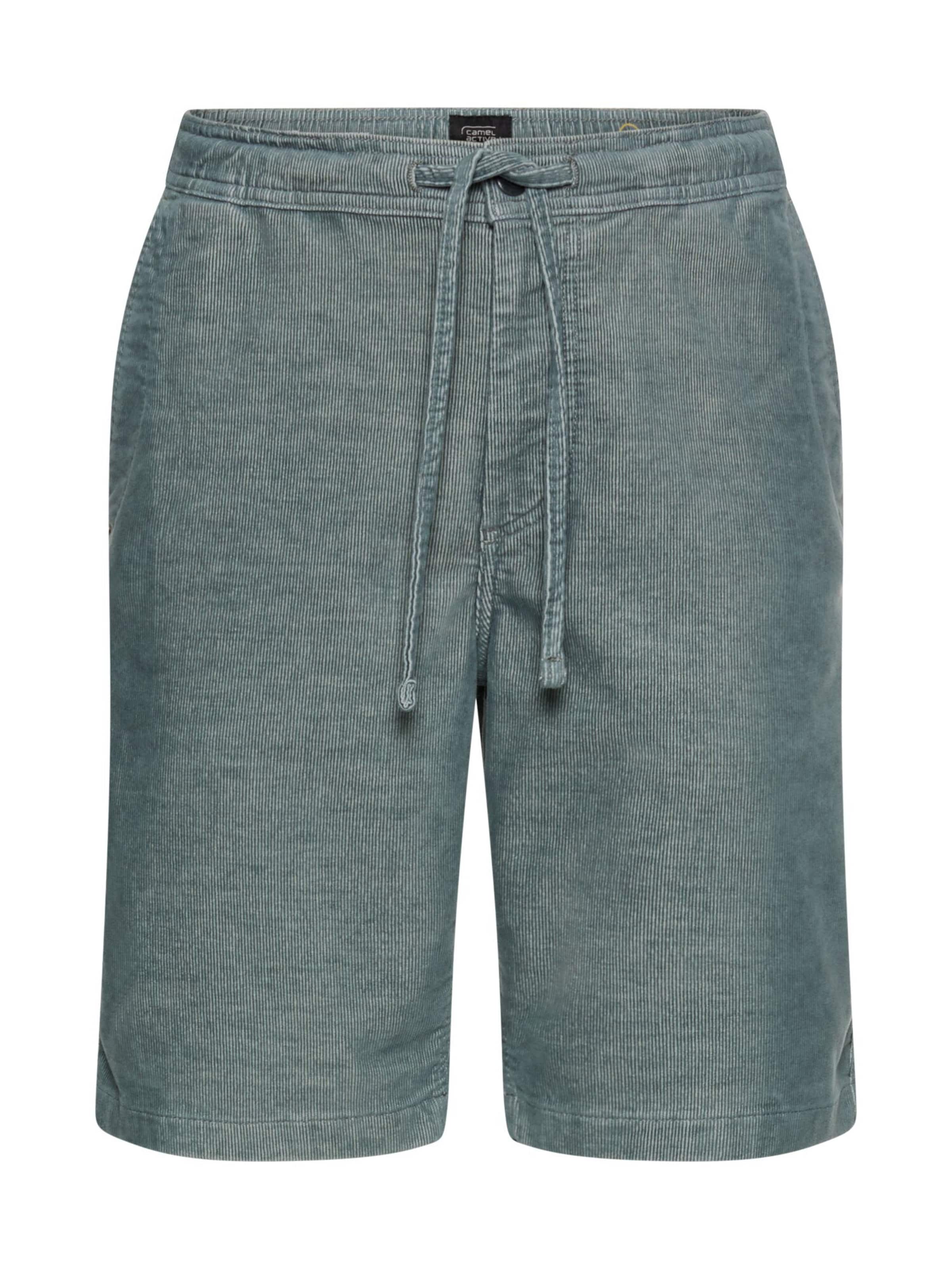 CAMEL ACTIVE Regular Pants in Blue: front