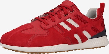 GEOX Sneaker in Rot: predná strana
