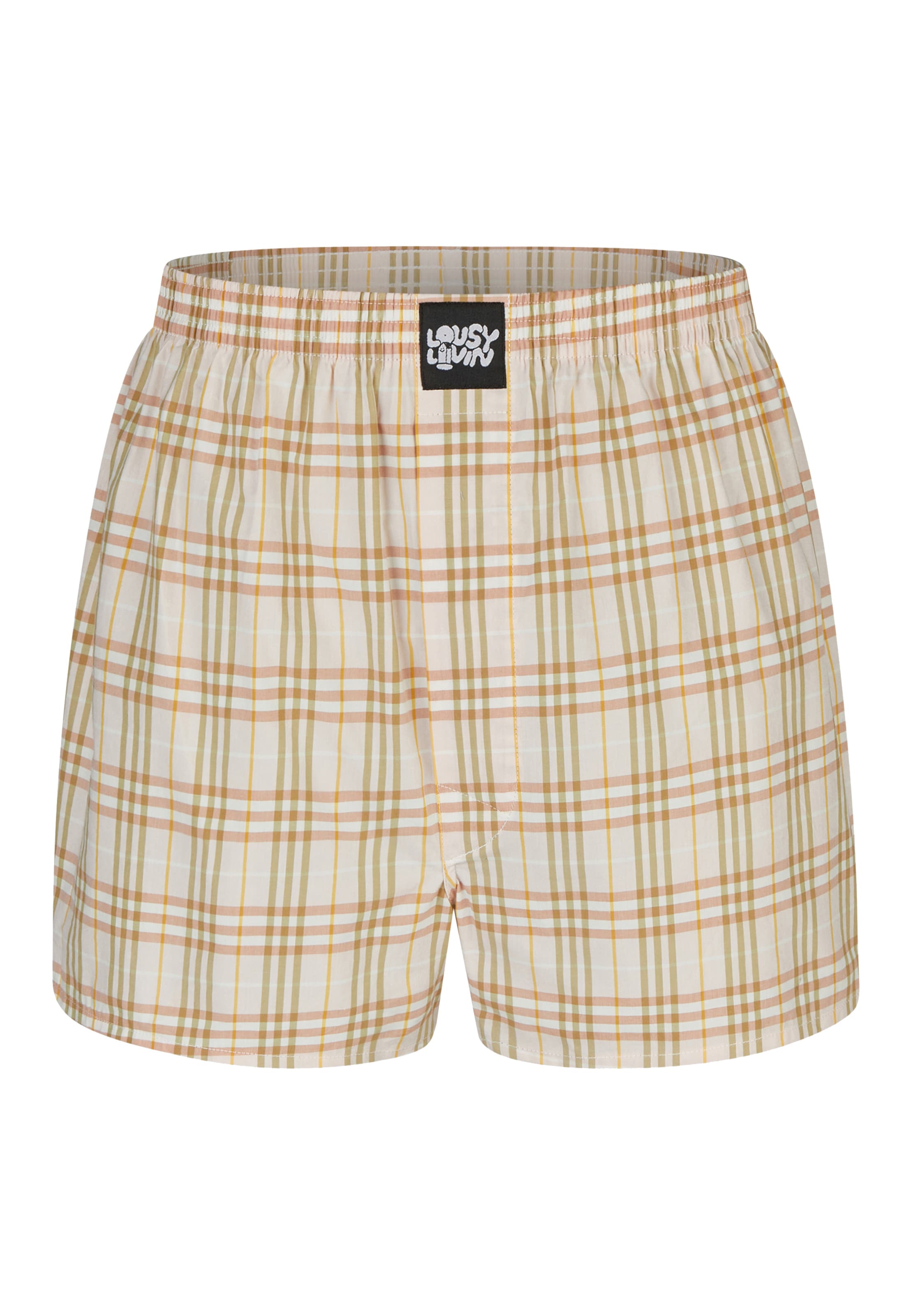 Lousy Livin Boxer shorts 'Check' in Blue