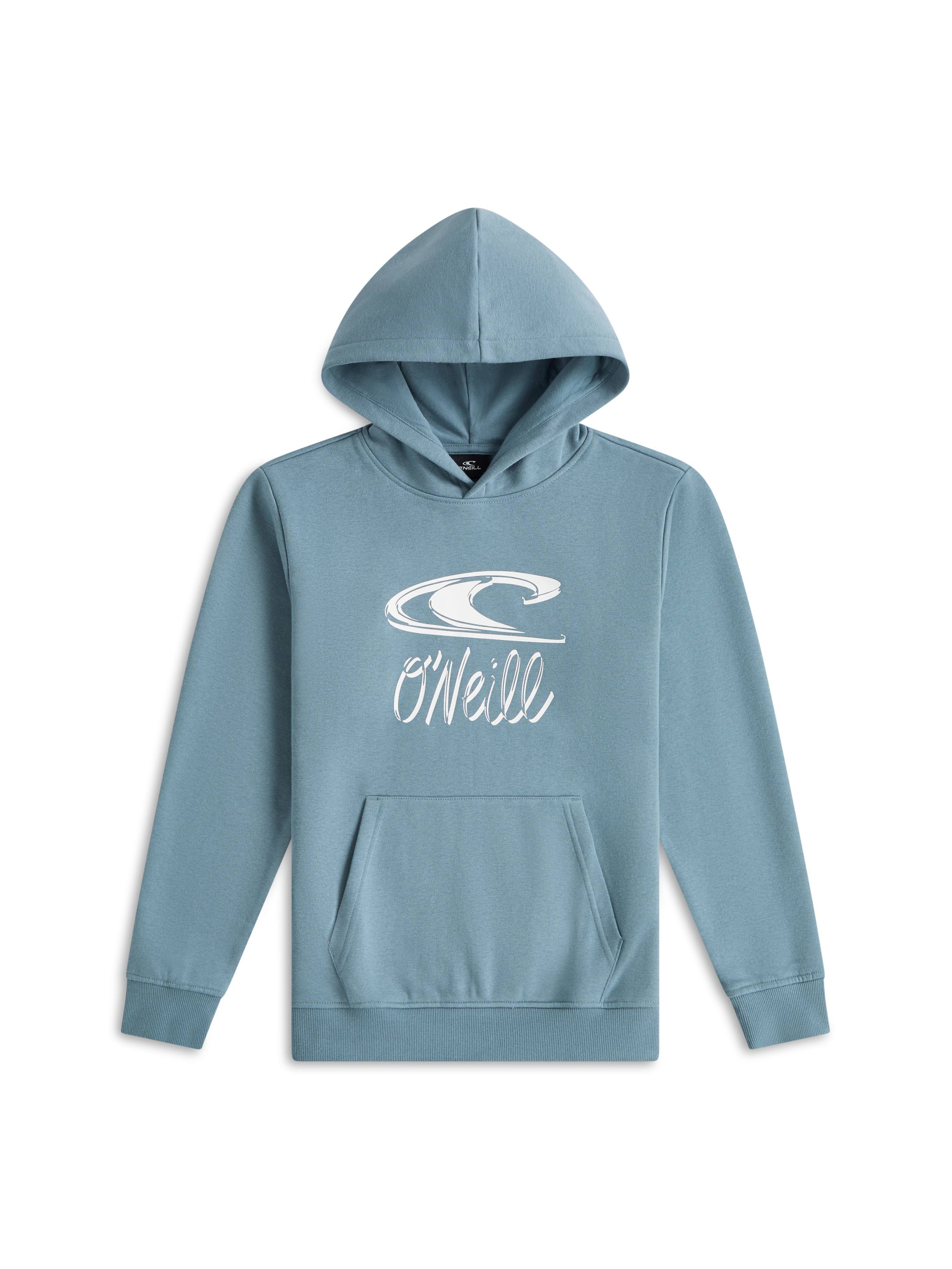 O'NEILL Sweatshirt in Blauw: voorkant