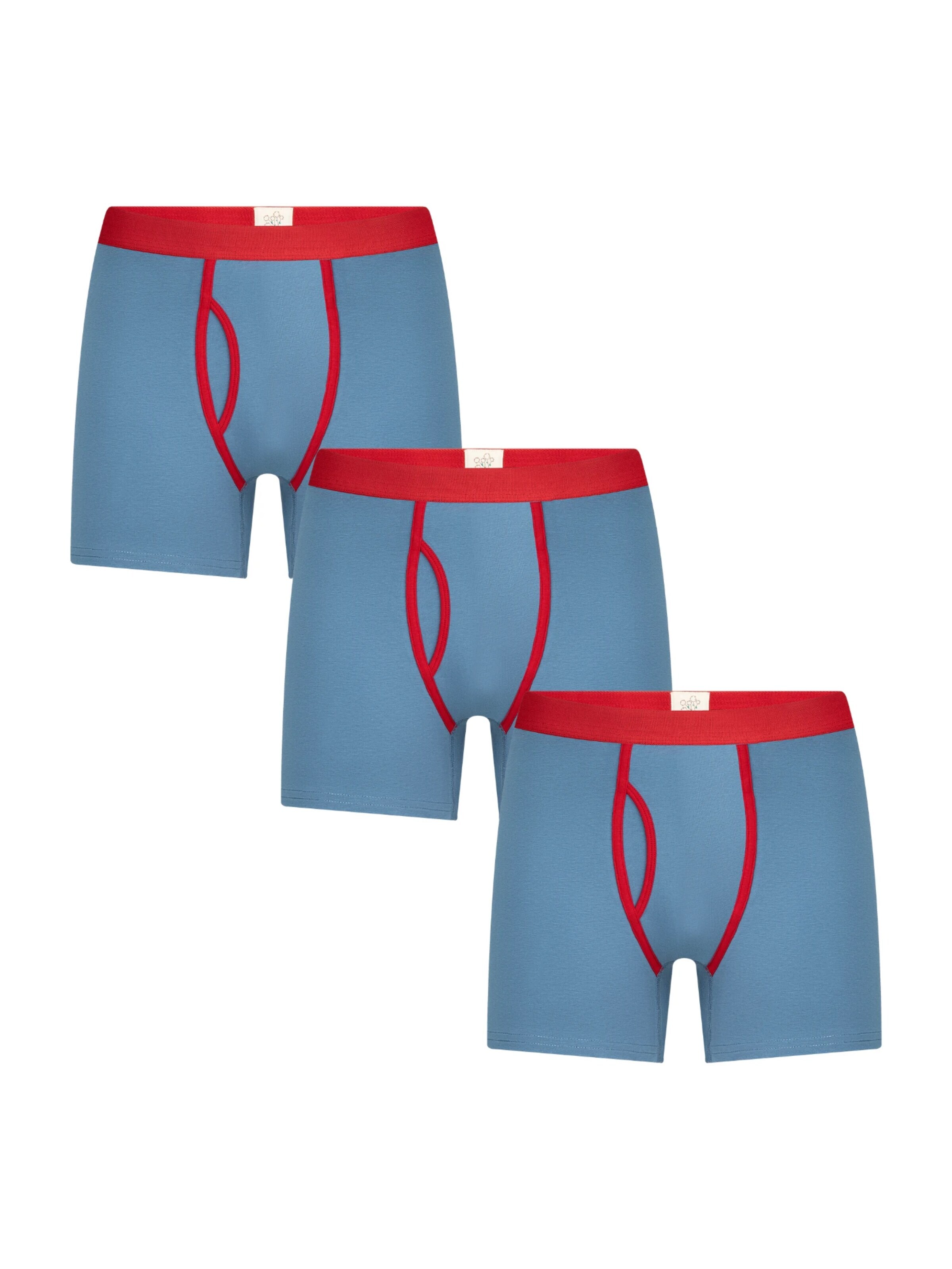 Albero Natur Boxer shorts in Blue: front