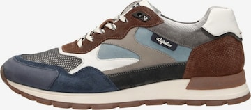 Australian Sneakers 'Tiago' in Blue: front