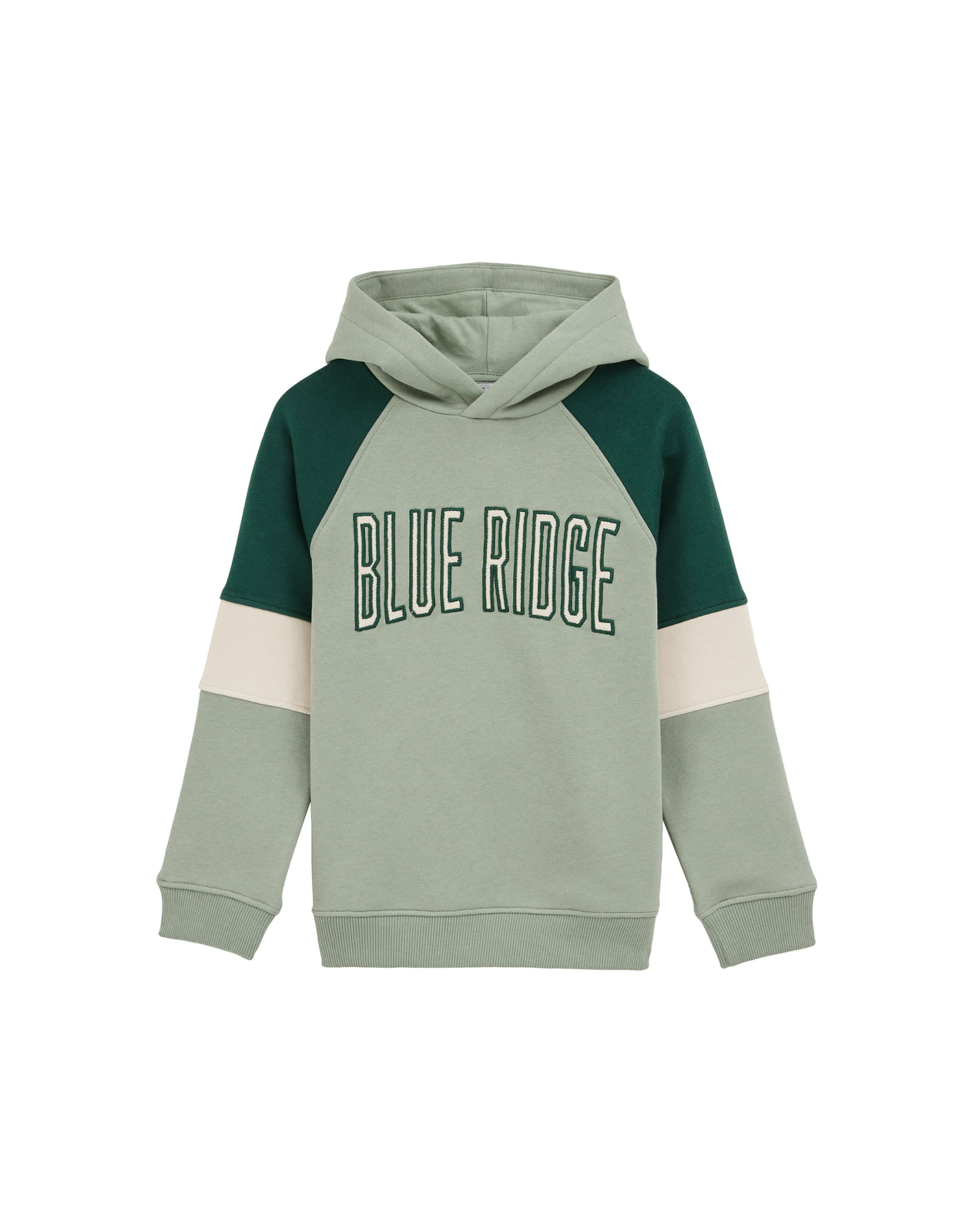 WE Fashion Sweatshirt i grøn: forside