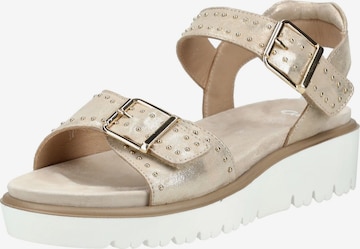 ARA Strap sandal in Beige: front