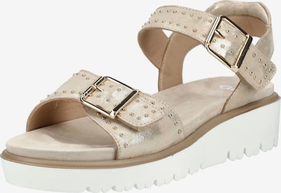 ARA Riemensandale in 36 in beige, Produktansicht