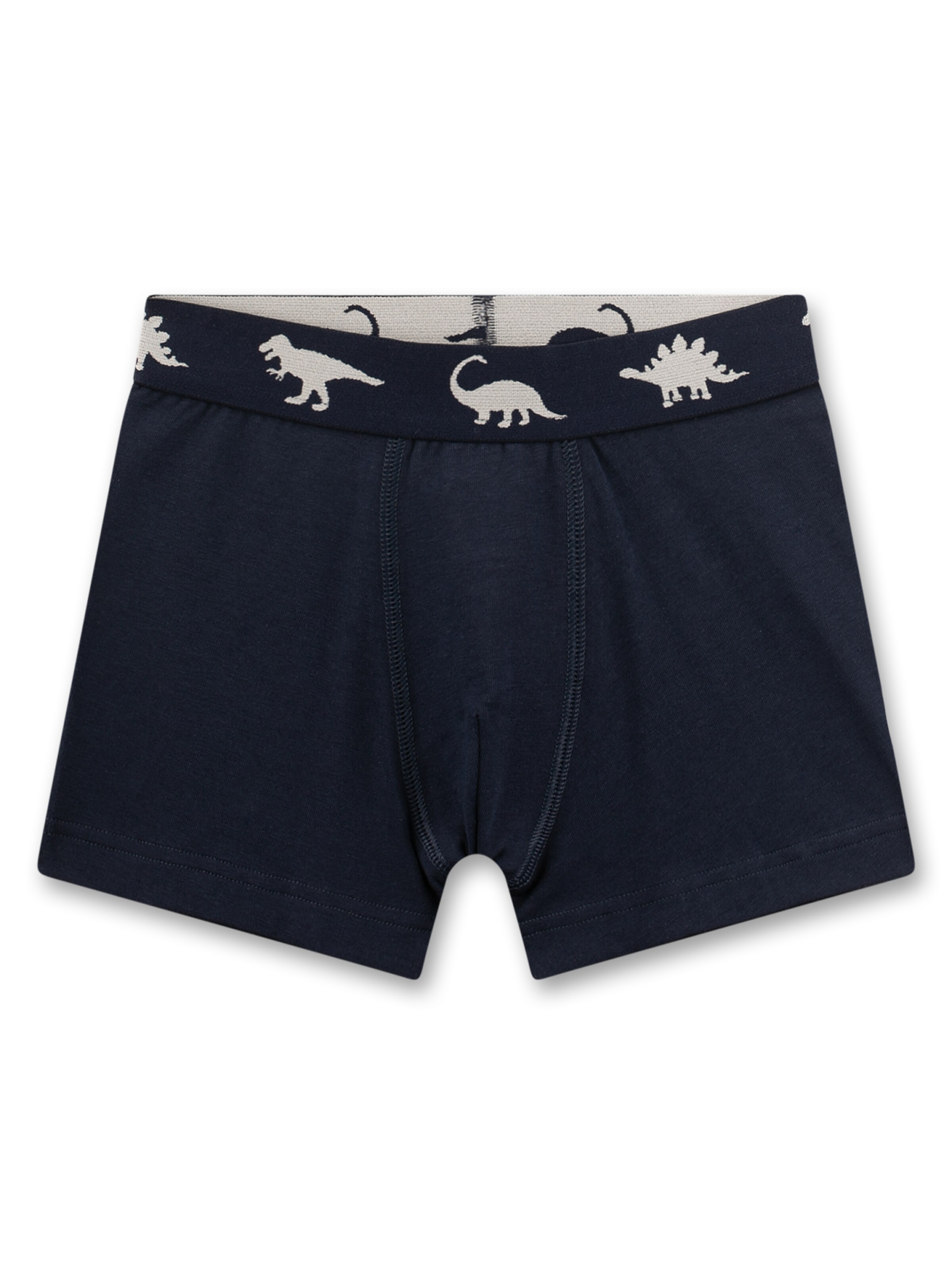 Sanetta Underpants in Blue