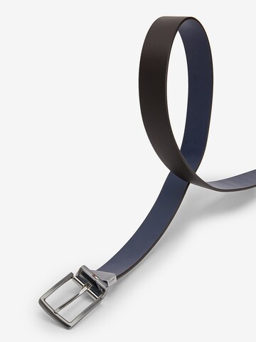 TOMMY HILFIGER Belt in Brown