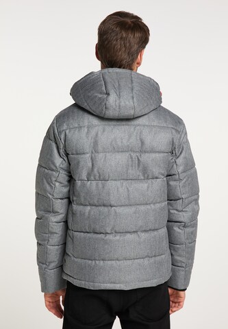 ICEBOUND - Chaqueta de invierno en gris