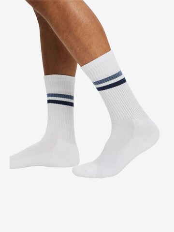 Chaussettes ESPRIT en blanc : devant