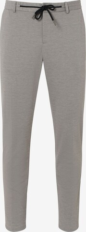 Thomas Goodwin Pleated Pants '3938-3328' in Grey: front