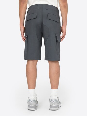 Regular Pantalon cargo DICKIES en gris