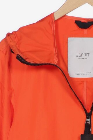 ESPRIT Jacket & Coat in S in Orange