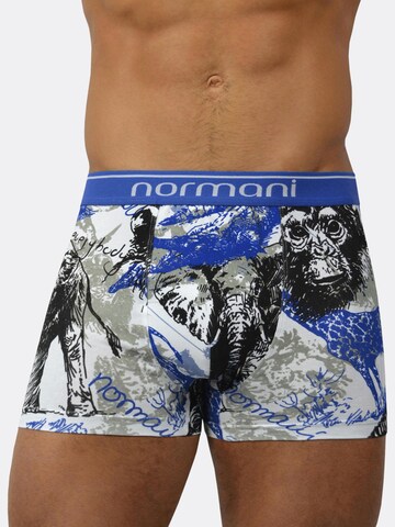 normani Boxershorts in Blauw