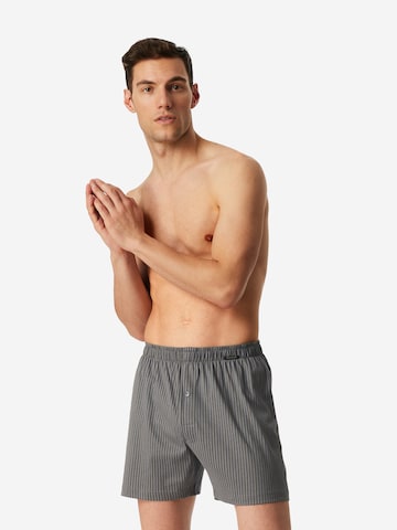 Boxers 'Basic' SCHIESSER en gris