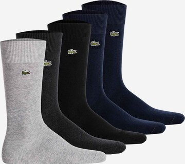 LACOSTE Socken in Grau