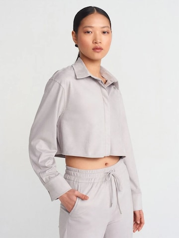 Dilvin Shirt in Grey: front
