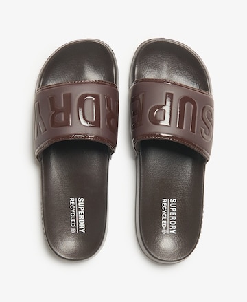 Claquettes / Tongs Superdry en marron