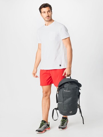 THE NORTH FACE Regular Workout Pants in Red