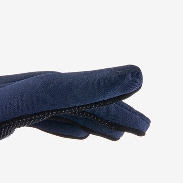 THE NORTH FACE Athletic Gloves 'ETIP' in Blue