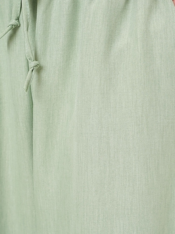 Bigdart Regular Hose in Grün