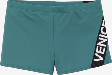 Shorts de bain VENICE BEACH en vert : devant