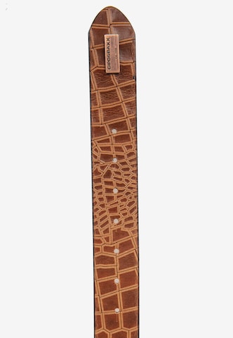 CIPO & BAXX Belt in Brown