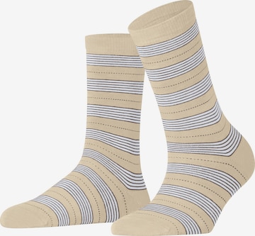 FALKE Socken 'Stripe Uniform' in Beige: Vorderseite