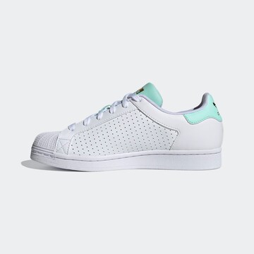 ADIDAS ORIGINALS - Zapatillas deportivas bajas 'Superstar' en blanco