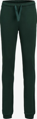 Jack & Jones Junior Tapered Hose in Grün: predná strana