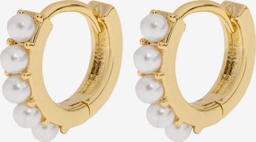 Boucles d'oreilles 'Essie' timi of sweden en or : devant