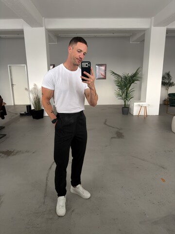 DAN FOX APPAREL Loosefit Bukser med fals 'Alper' i grå