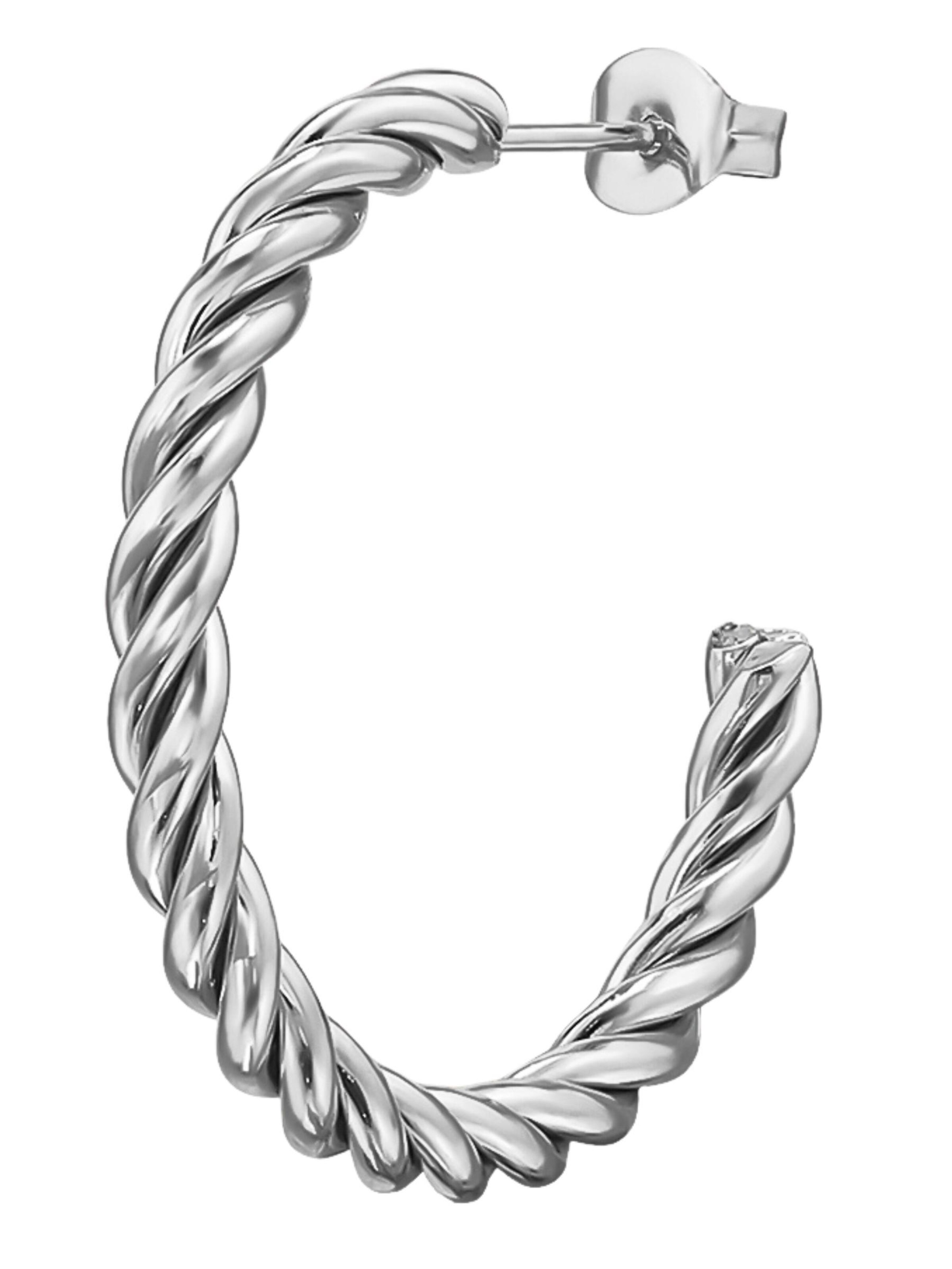 Maxte Earrings in Silver