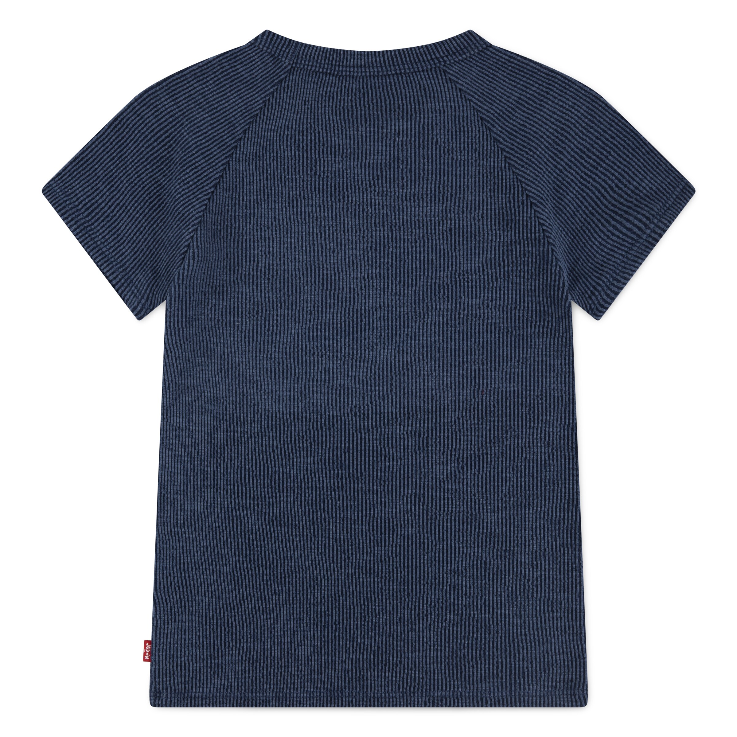 Levi's Kids Shirt in Blue