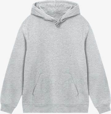 F4NT4STIC Sweatshirt in Grey: front
